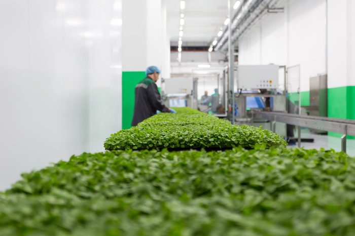 Agricultural processing line